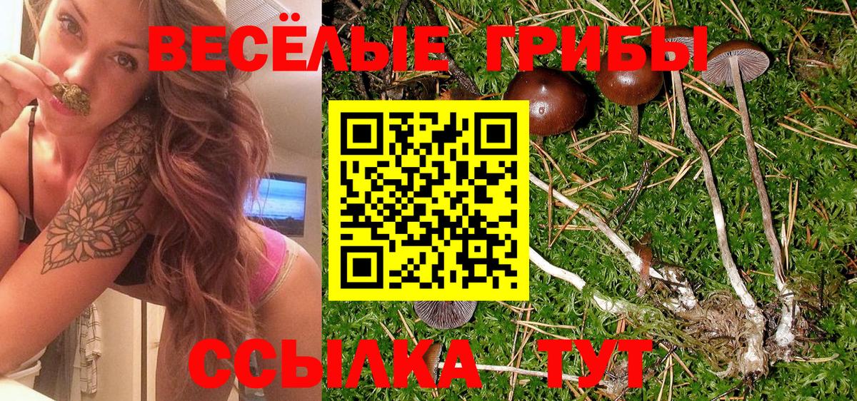 Псилоцибиновые грибы MAGIC MUSHROOMS  Вход с VPN  Галлюциногенные грибы мицелий  Кулебаки 